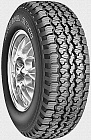 Radial A/T Neo