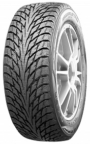 Nokian Hakkapeliitta R2 215/45 R20 95R XL
