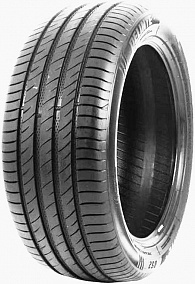 Delinte DS2 SUV 255/45 R20 105W