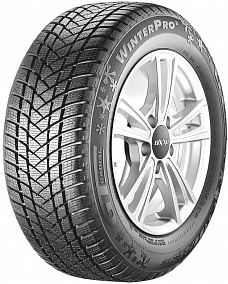 GT Radial Champiro WinterPro 2 205/65 R15 94T